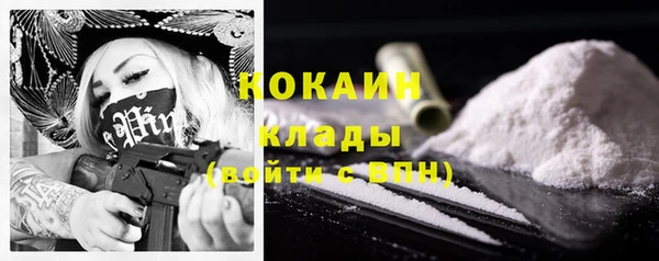 ГАЛЛЮЦИНОГЕННЫЕ ГРИБЫ Арсеньев