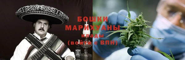 ГАЛЛЮЦИНОГЕННЫЕ ГРИБЫ Арсеньев