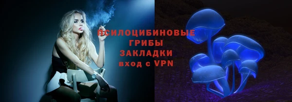ГАЛЛЮЦИНОГЕННЫЕ ГРИБЫ Арсеньев