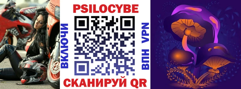 Галлюциногенные грибы Psilocybe  сколько стоит  Россошь 